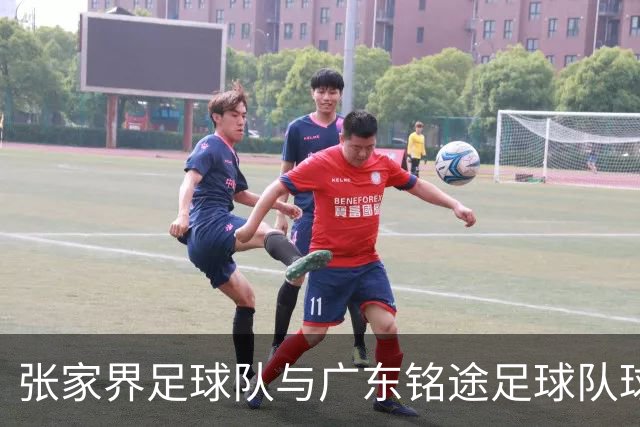 张家界足球队与广东铭途足球队球员赛中发生肢体冲突 官方通报